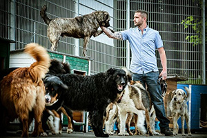 Trainingswoche schwierige Hunde Chris Deschl