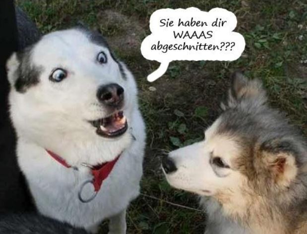 Kastration