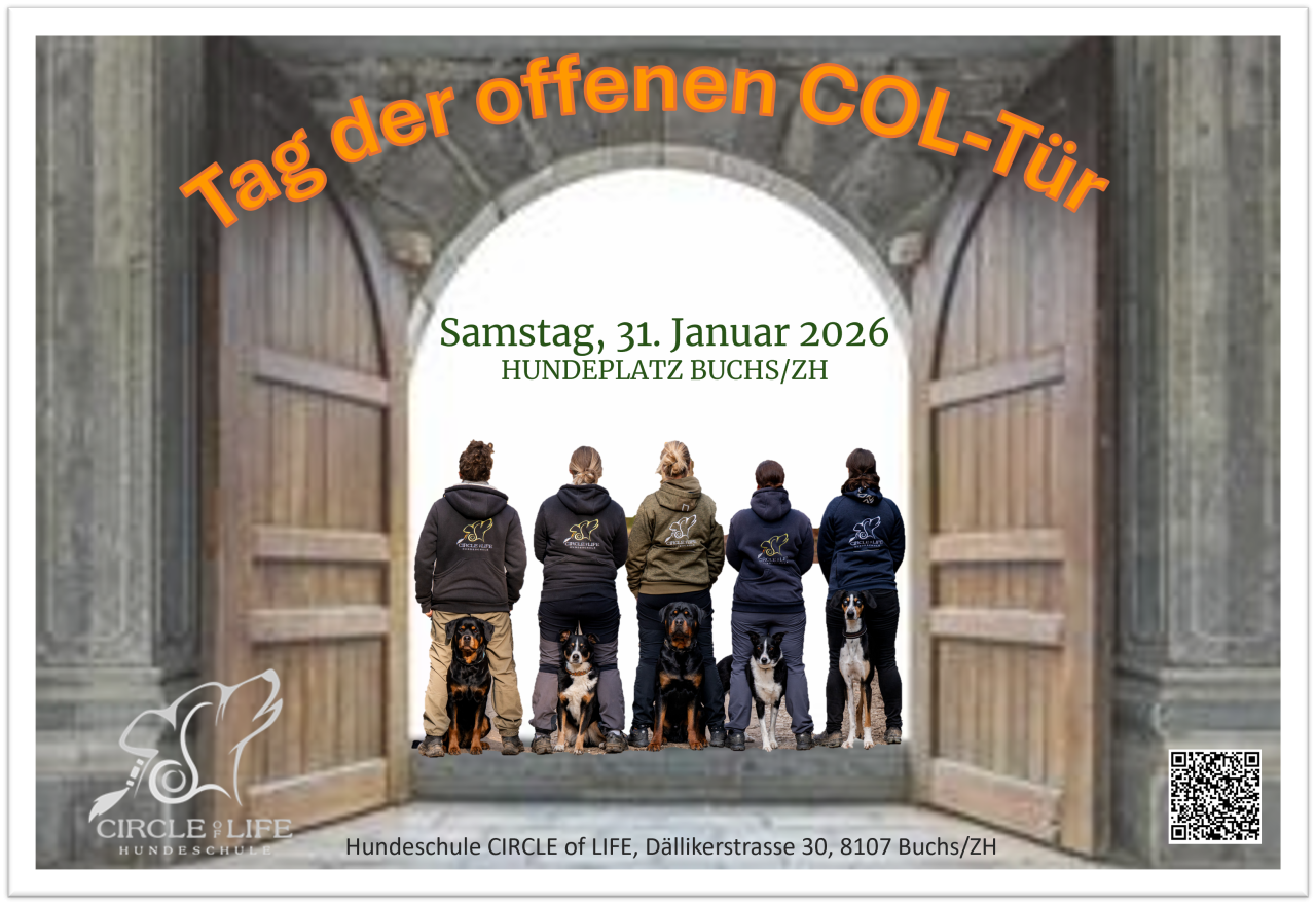 TAGderoffenenCOL-Tur_1.jpeg