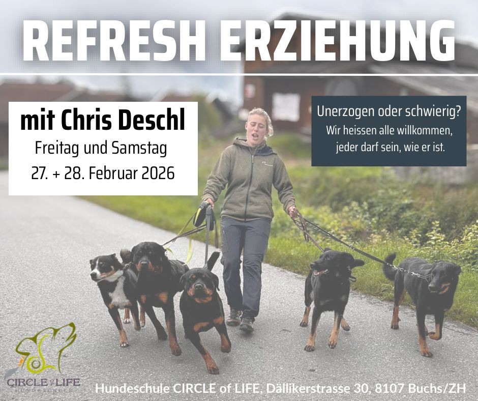 Erziehung_ChrisDeschl
