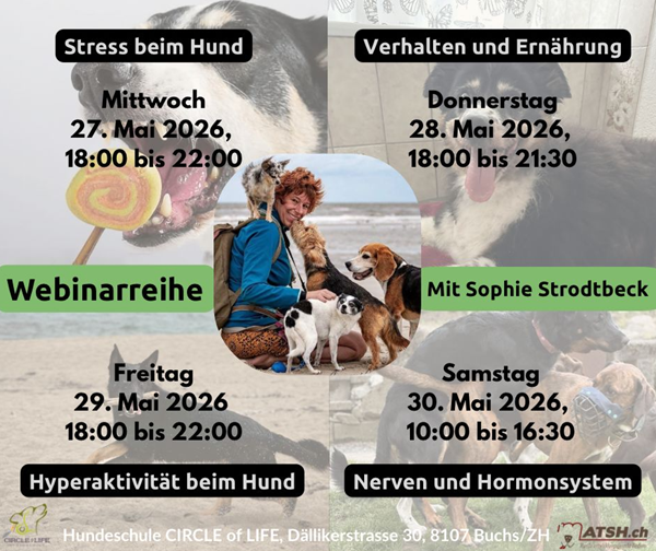 Sophie_Webinarreihe