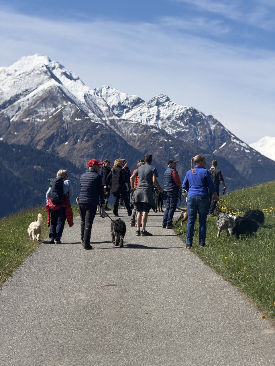 Hundewoche Mai 2026
