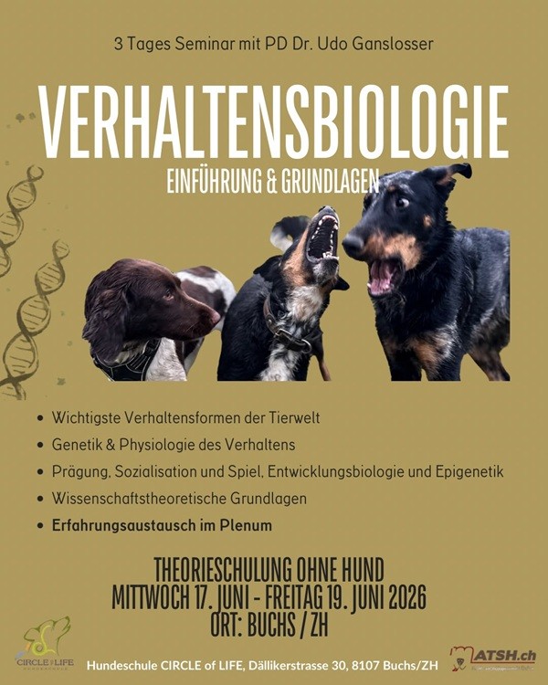 Verhaltensbiologie_1.png
