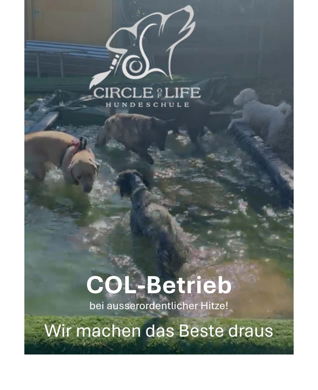 Sommerhitze