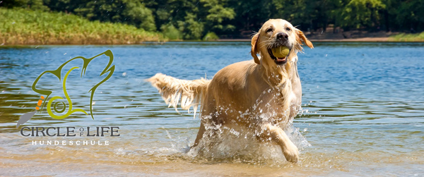 Hundeschule Circle of Life